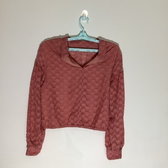Walter Baker NWT Womens Long Sleeve Sheer Pink Crop Shirt Size‎ XL - Picture 1 of 5